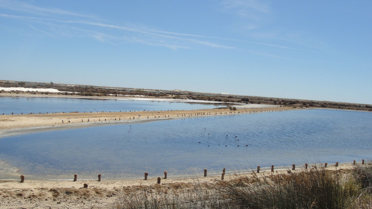 Photo of Others in Olhao