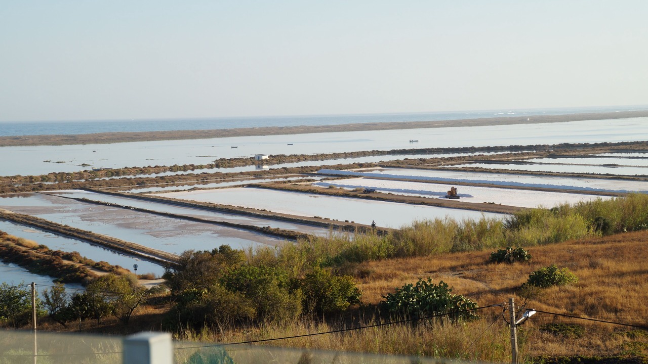 Photo of Others in Olhao