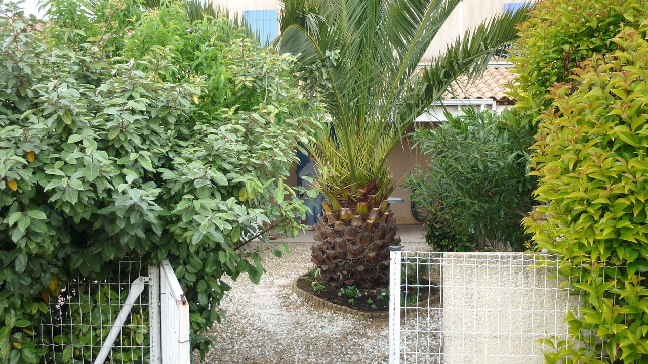 Photo of Outdoor in Portiragnes-Plage