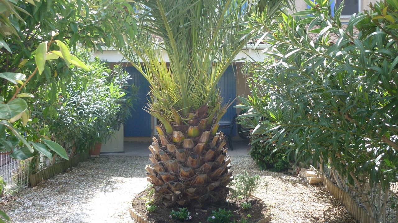 Photo of Outdoor in Portiragnes-Plage