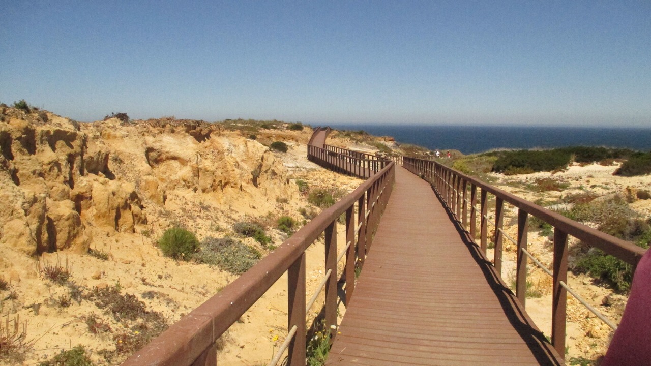 Photo of Others in Zambujeira do Mar