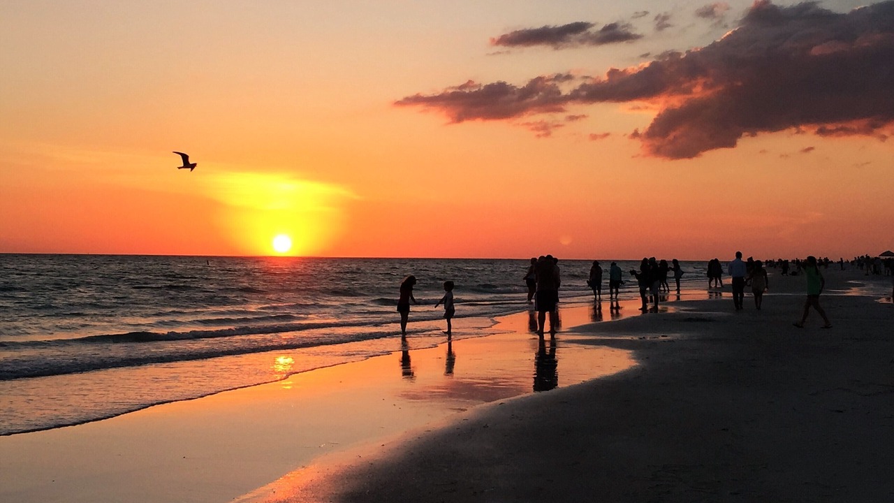 Photo of Others in Anna Maria