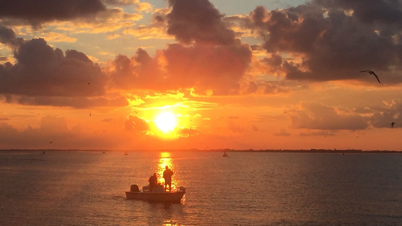 Photo of Others in Anna Maria