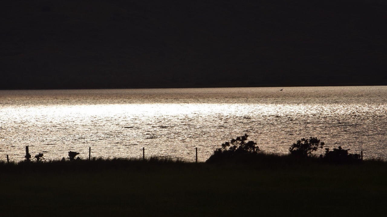 Photo of Others in Glenelg