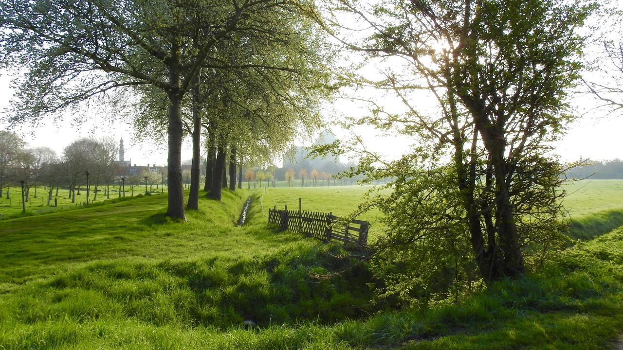 Photo of Outdoor in Veere