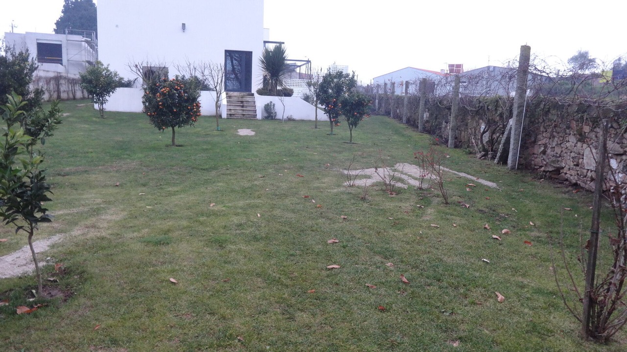 Photo of Others in Vila do Conde