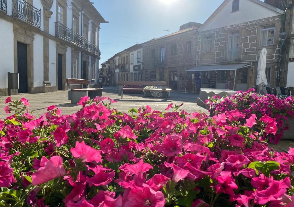 Photo of Others in Vila do Conde