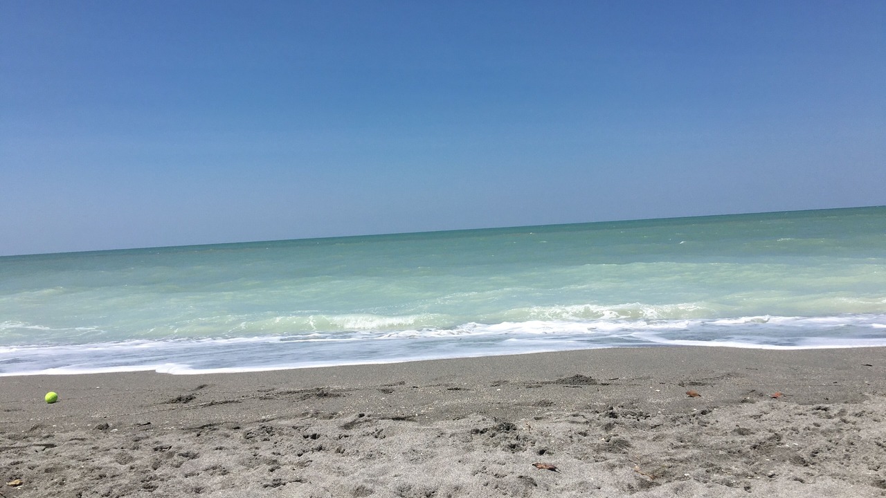Photo of Others in Plantation