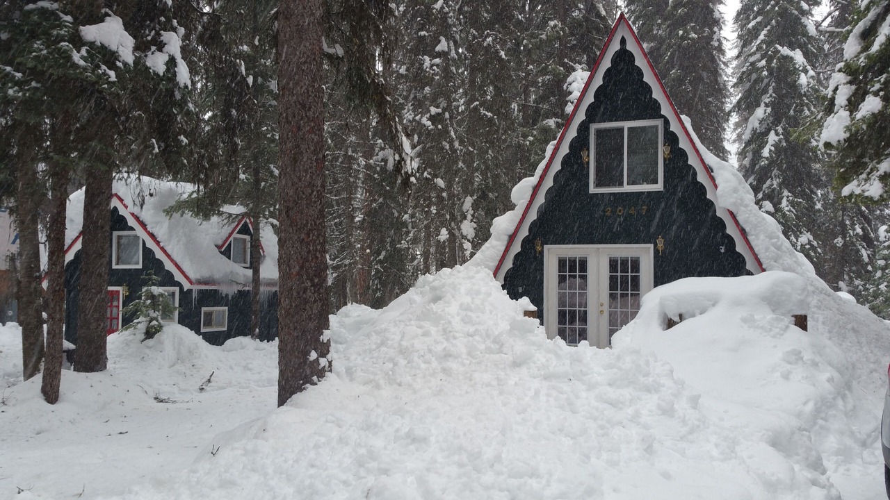 Photo of Others in McCall