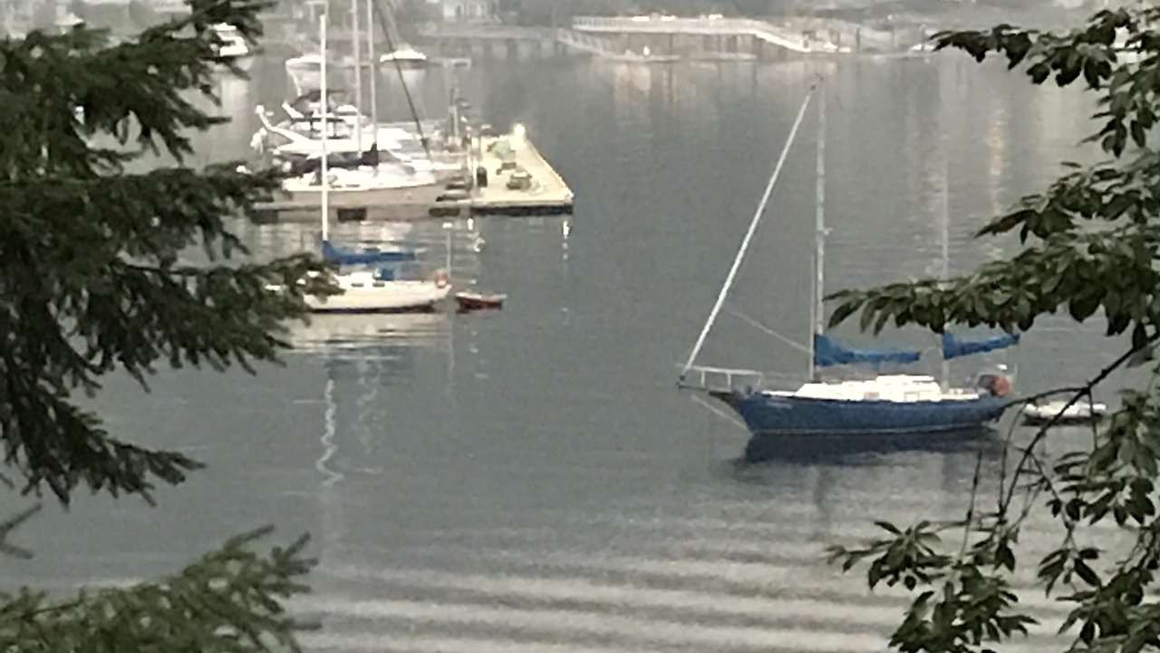 Photo of Others in Deep Cove