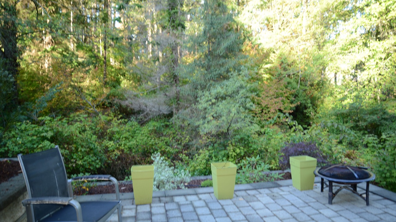 Photo of Outdoor in Deep Cove