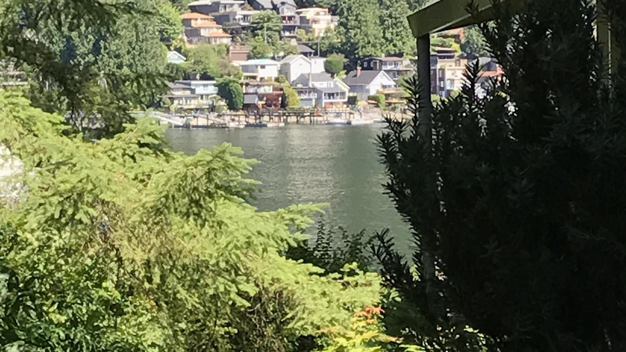 Photo of Outdoor in Deep Cove