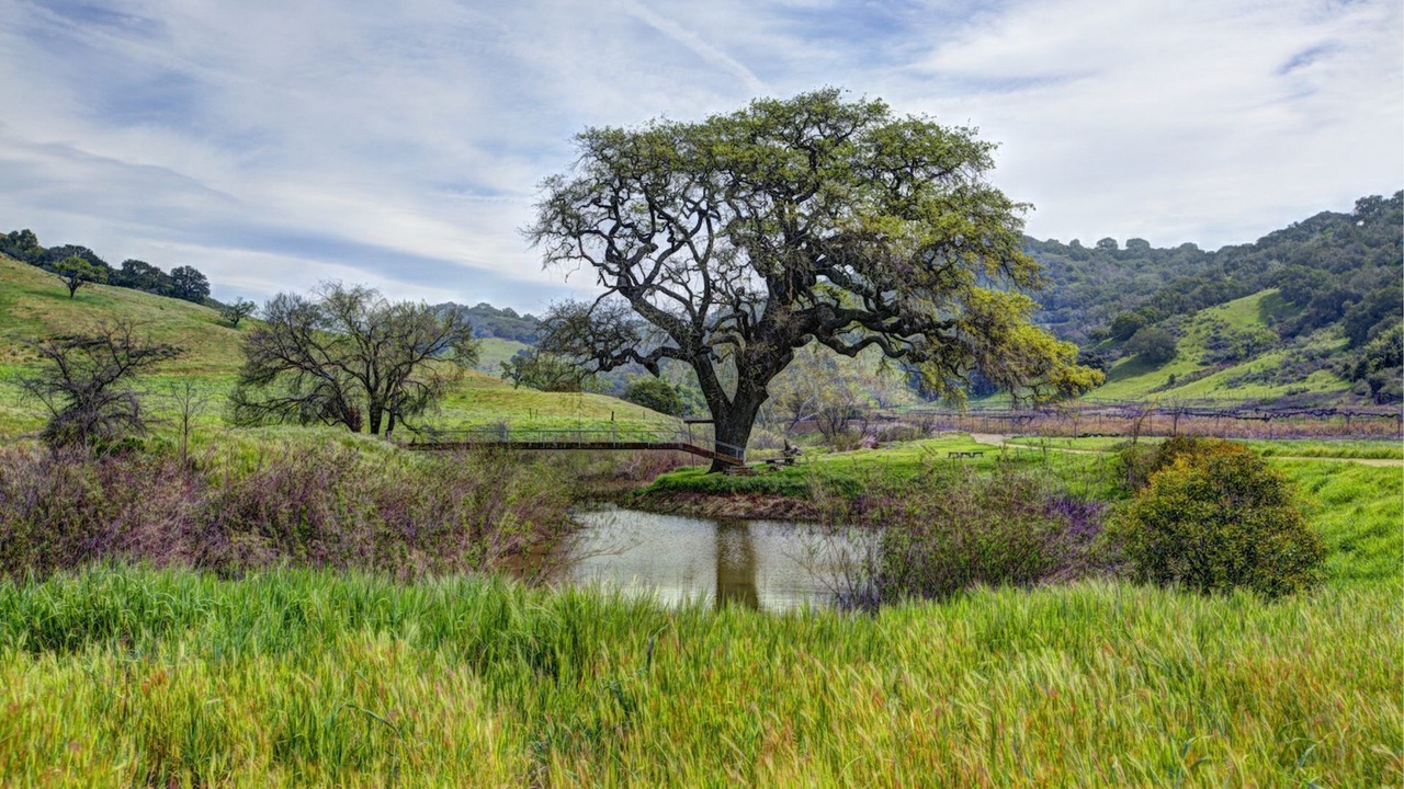 Photo of Others in Santa Barbara County