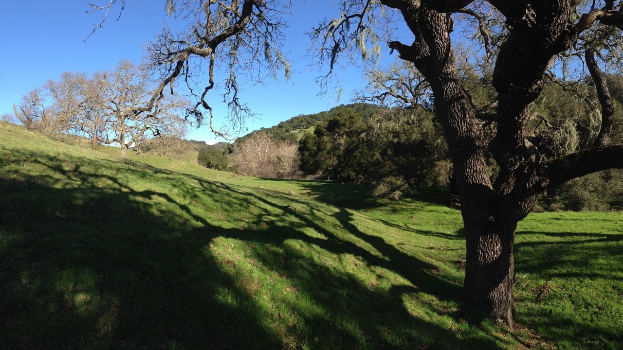 Photo of Others in Santa Barbara County