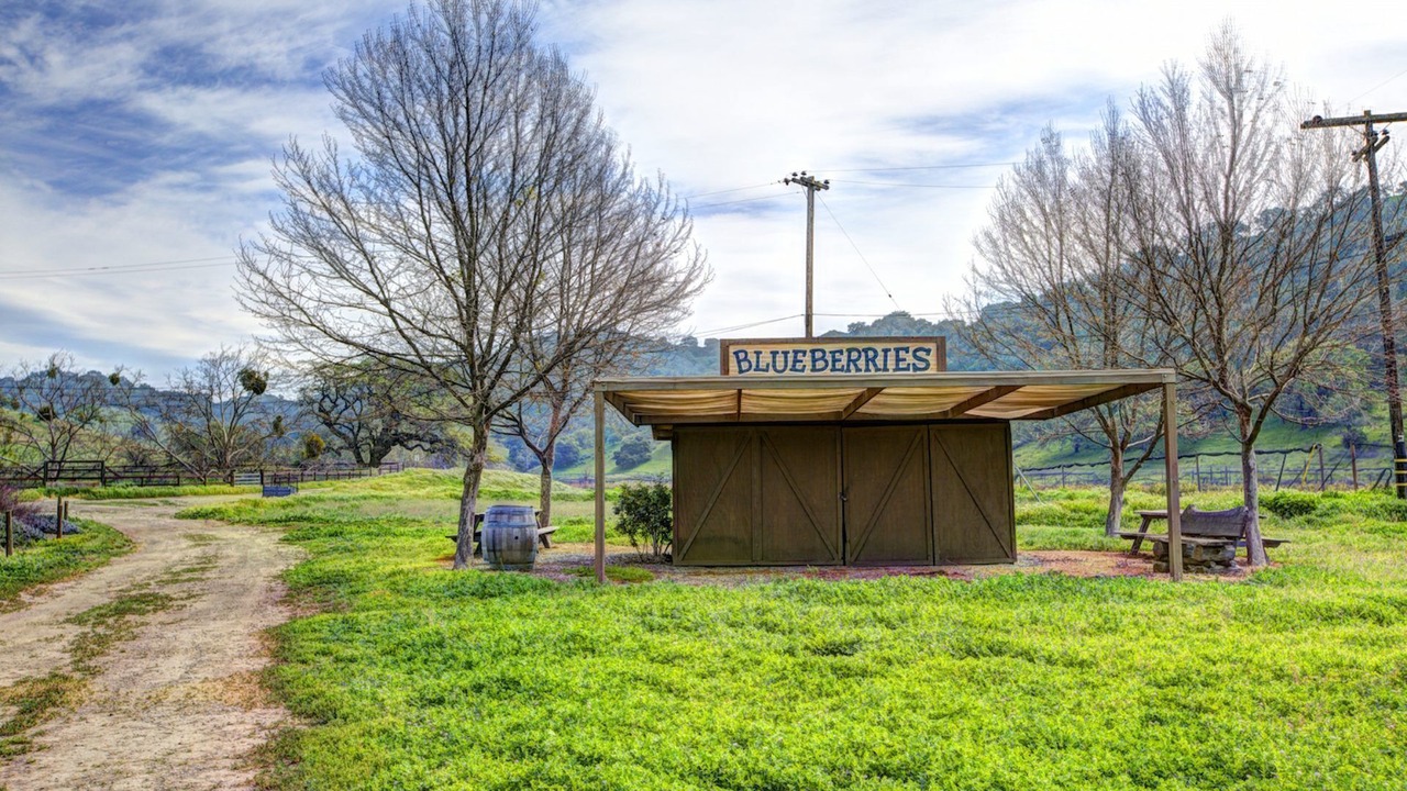 Photo of Others in Santa Barbara County