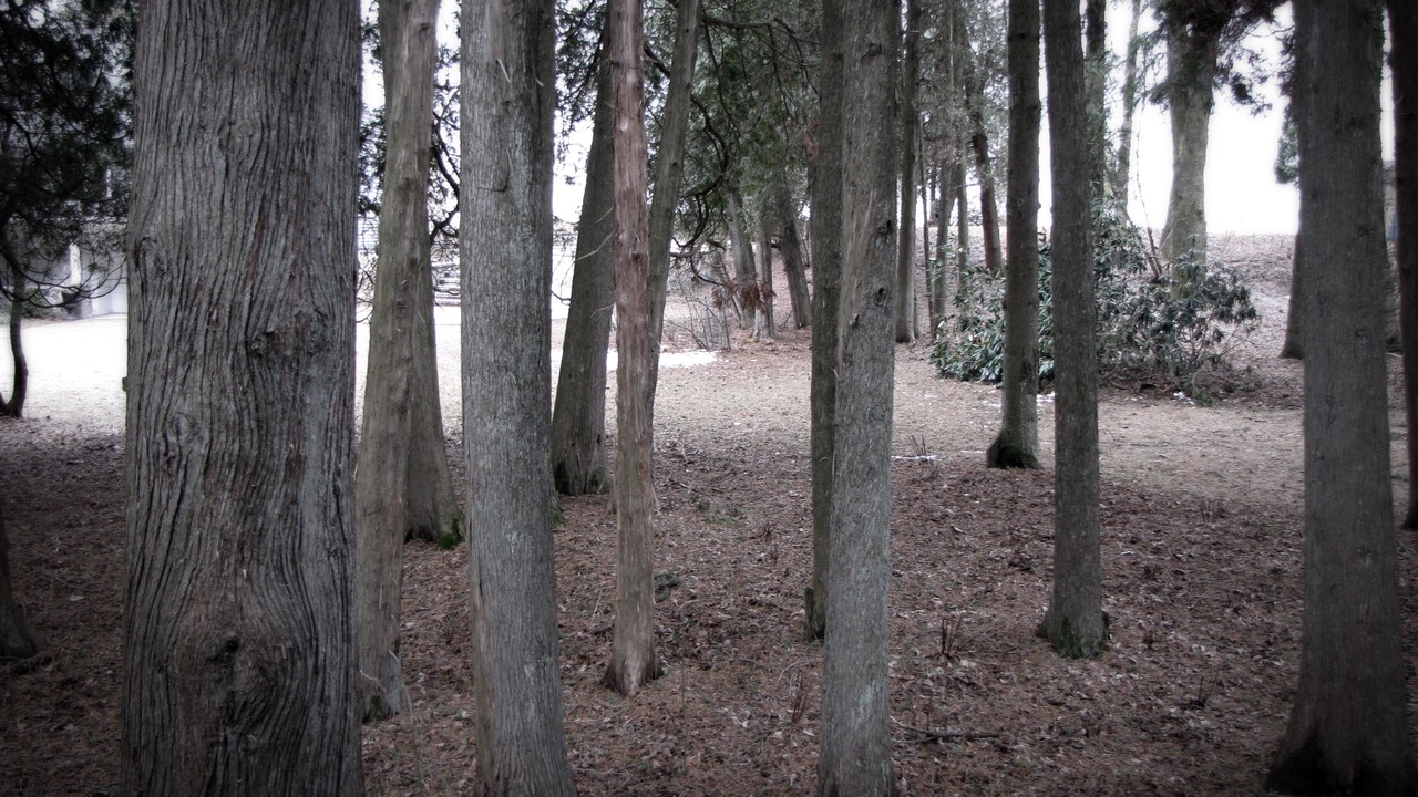 Photo of Others in Oostburg