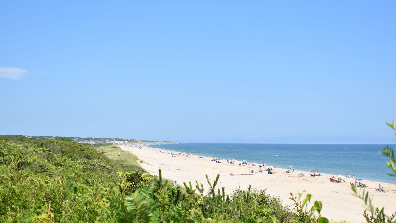Photo of Others in Montauk