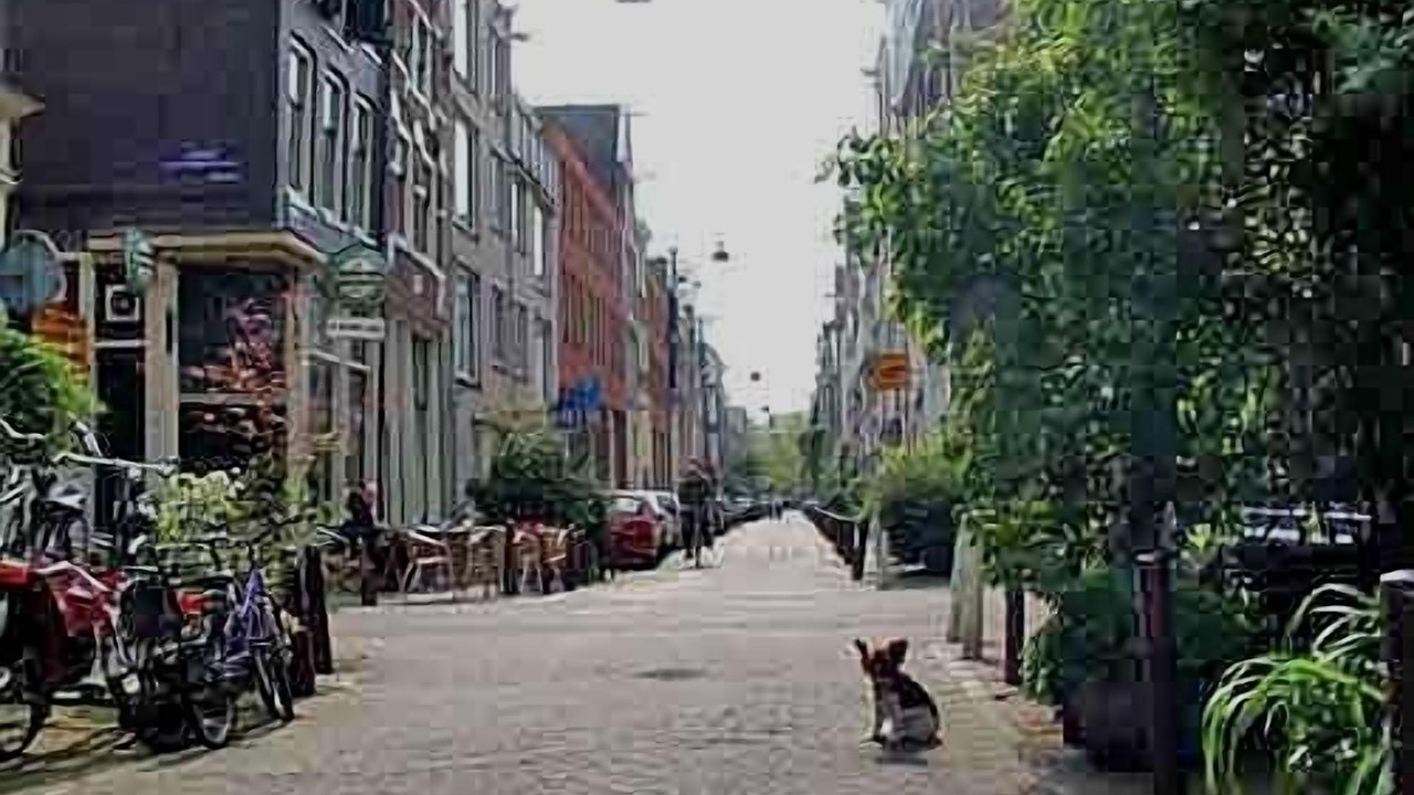 Photo of Others in Jordaan