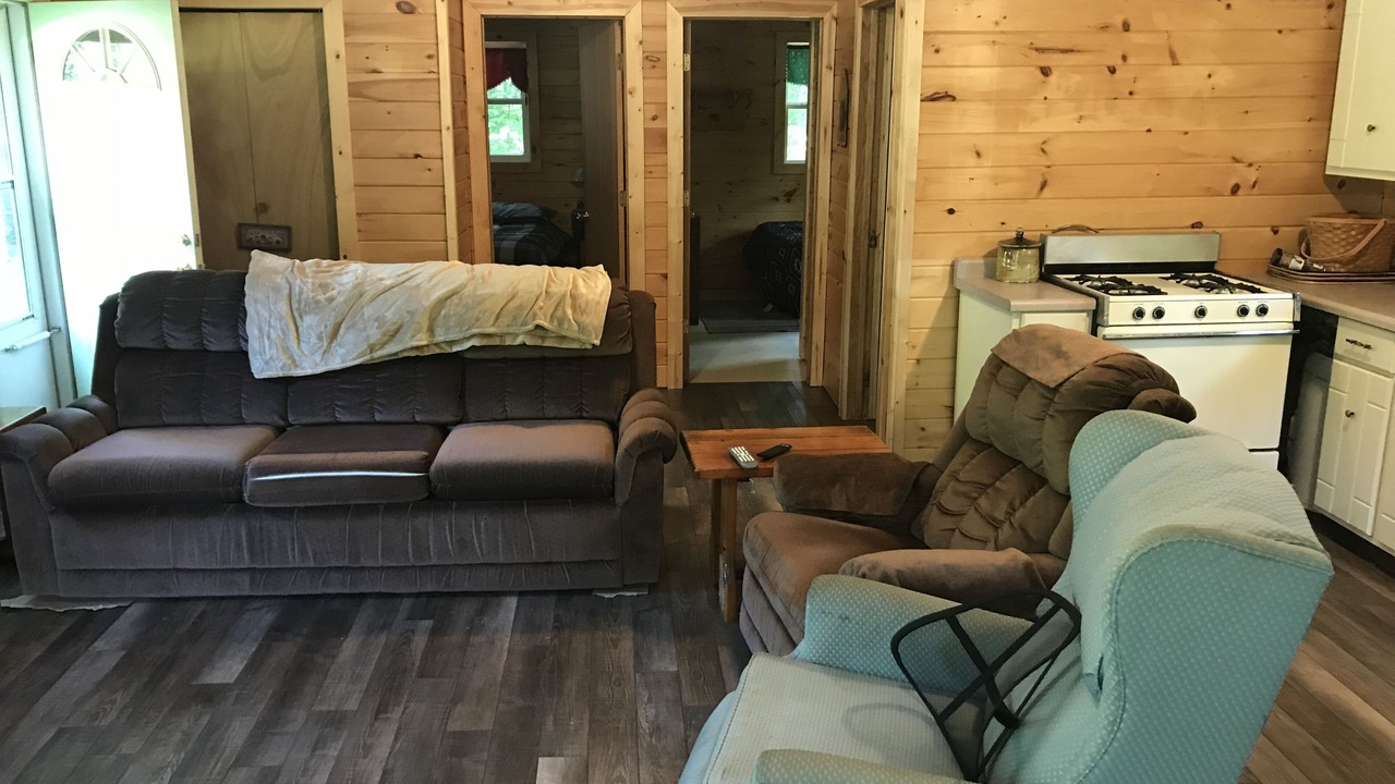 Photo of Livingroom in Manistique