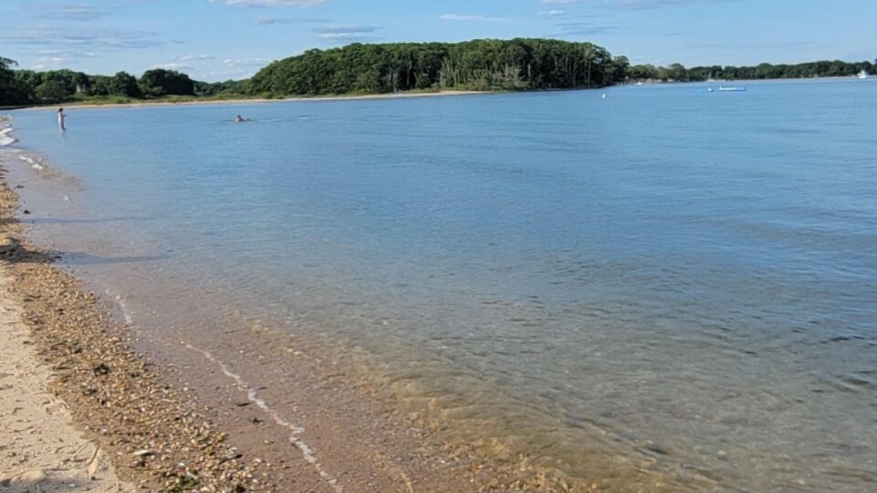 Photo of Others in Greenport West