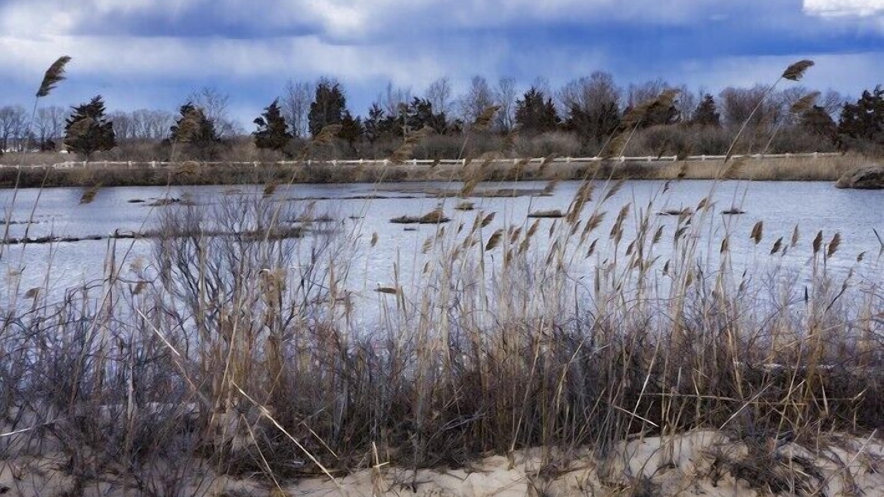 Photo of Others in Madison