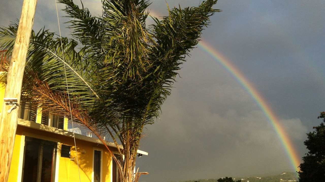 Photo of Others in Rincon