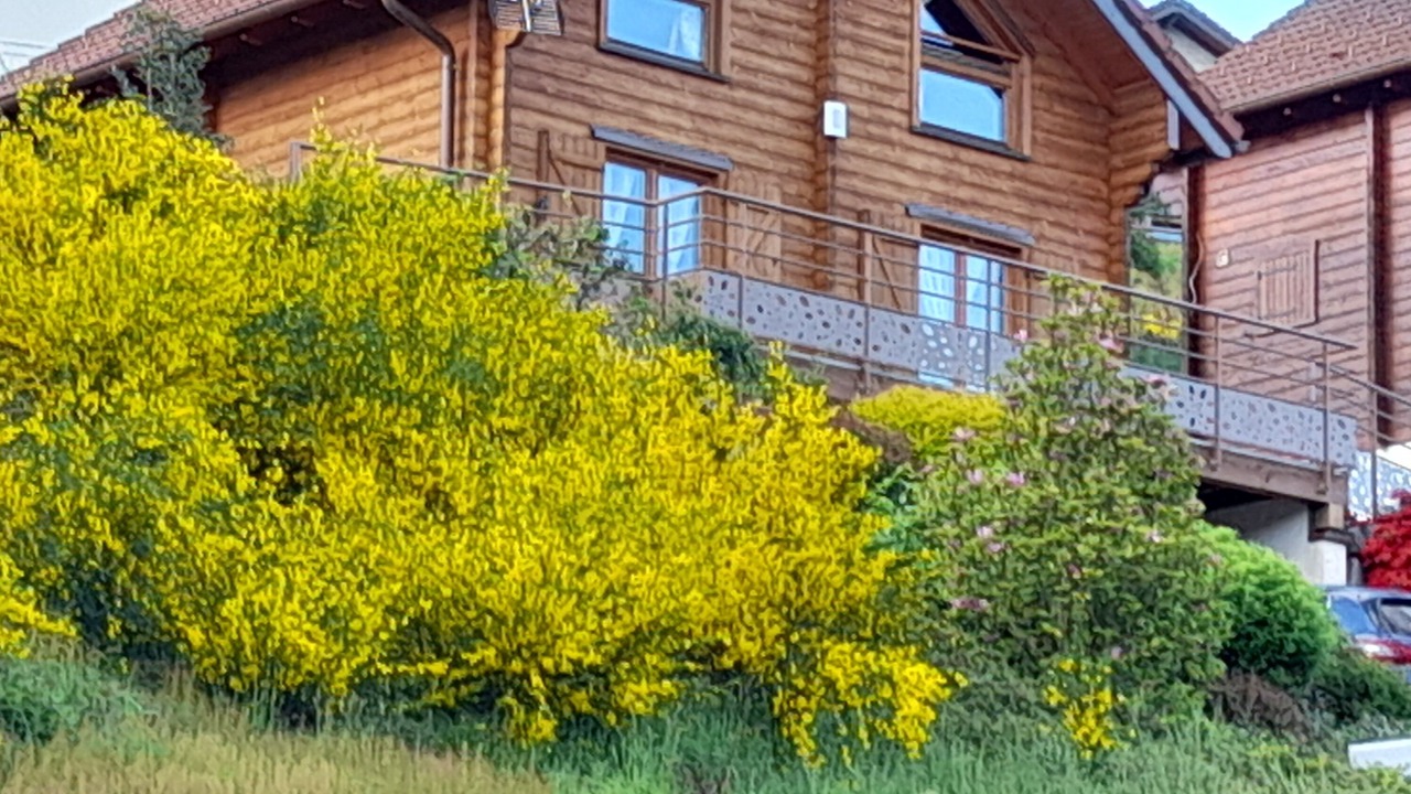 Photo of Outdoor in Ramonchamp