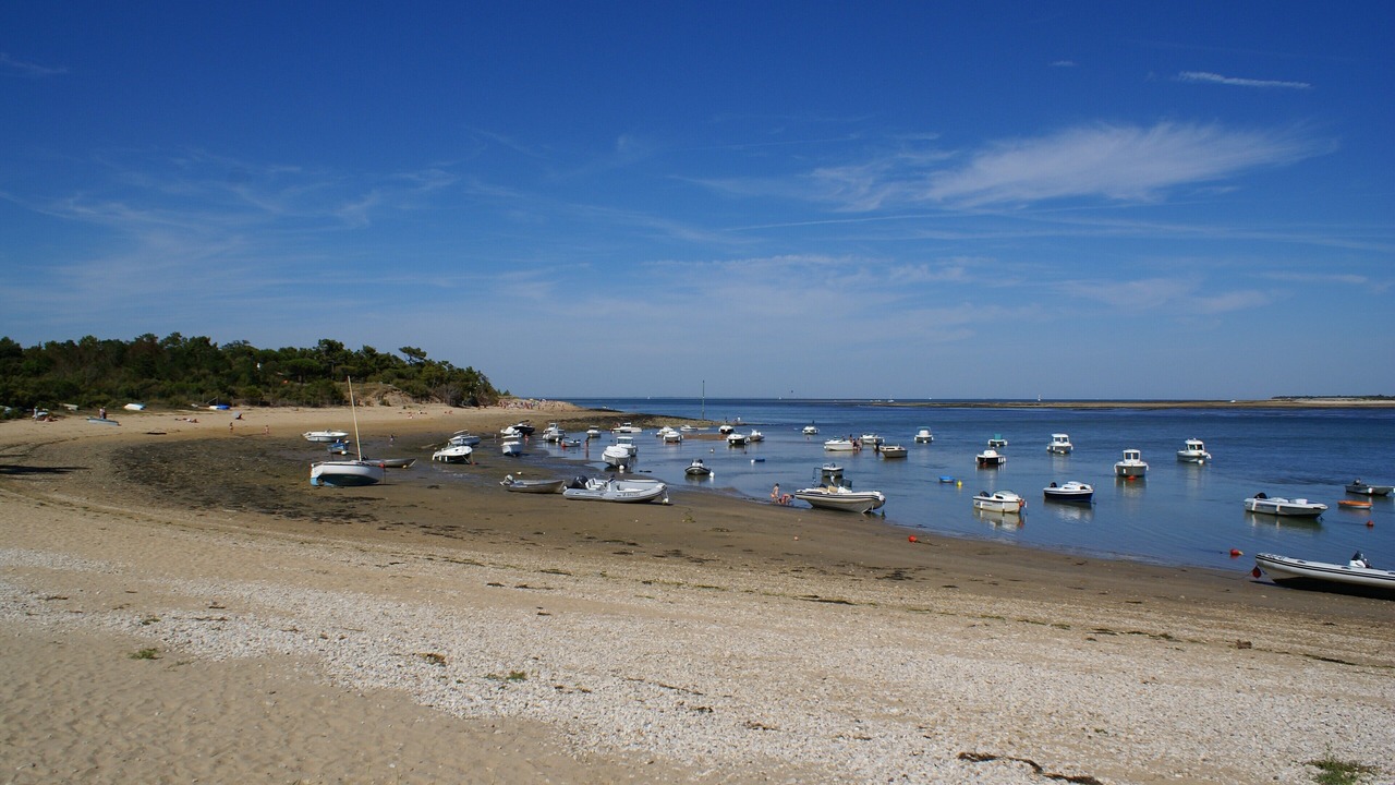 Photo of Others in Dompierre-sur-Mer