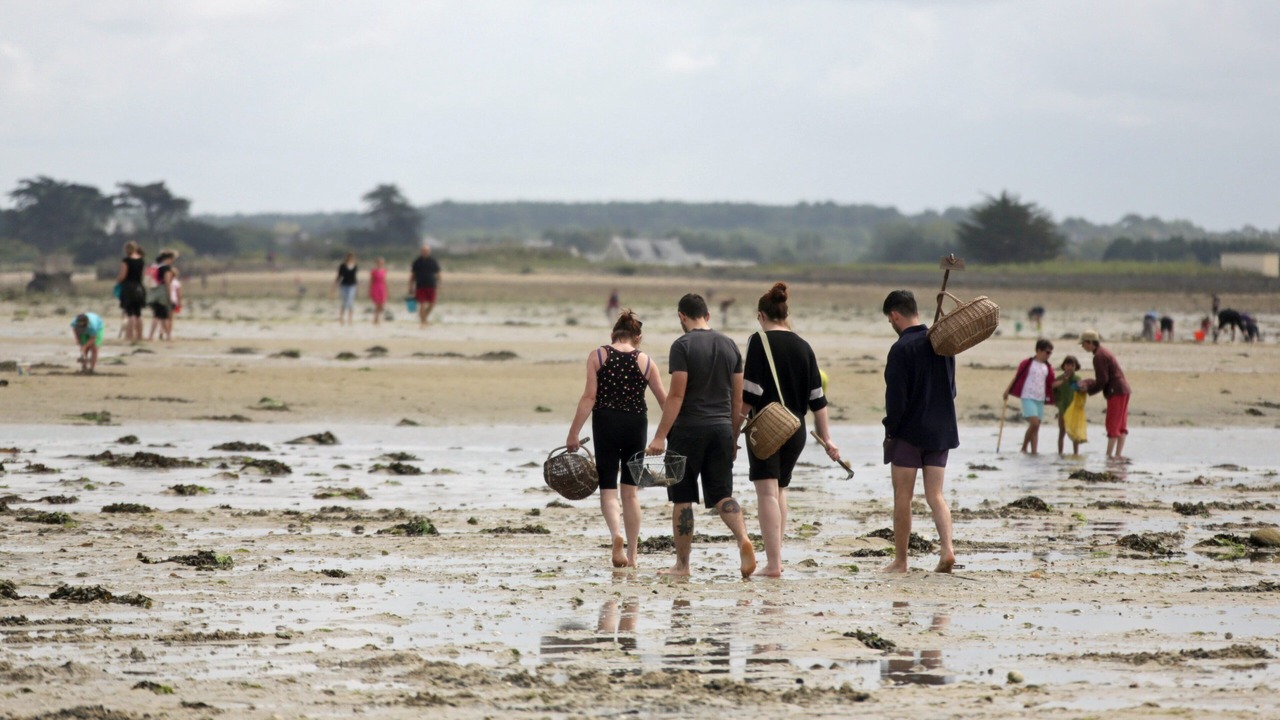 Photo of Others in Plouneour-Brignogan-Plages