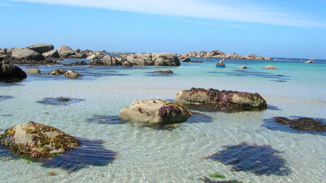 Photo of Others in Plouneour-Brignogan-Plages