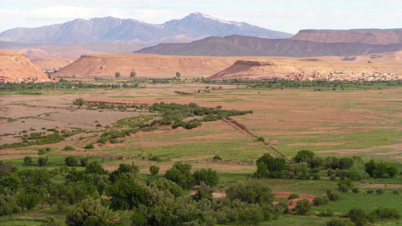 Photo of Others in Tamedakhte