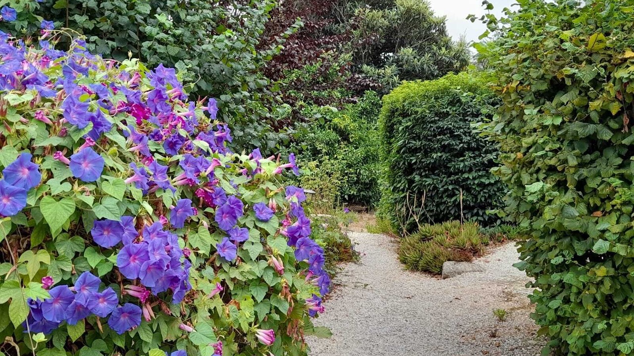 Photo of Outdoor in Monchique