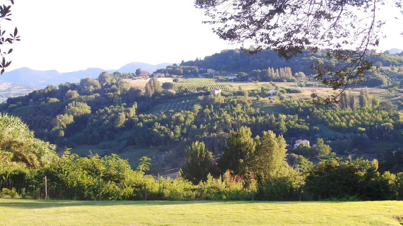 Photo of Others in Castelplanio
