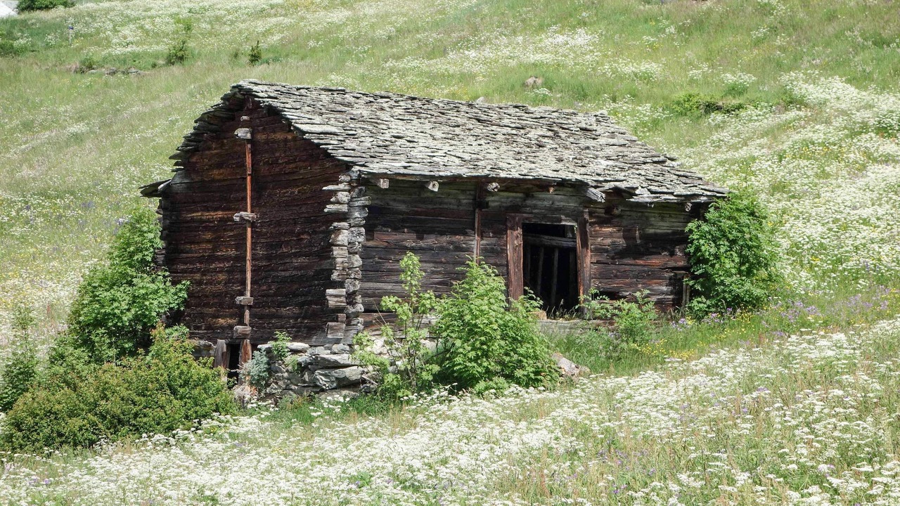 Photo of Outdoor in Toerbel