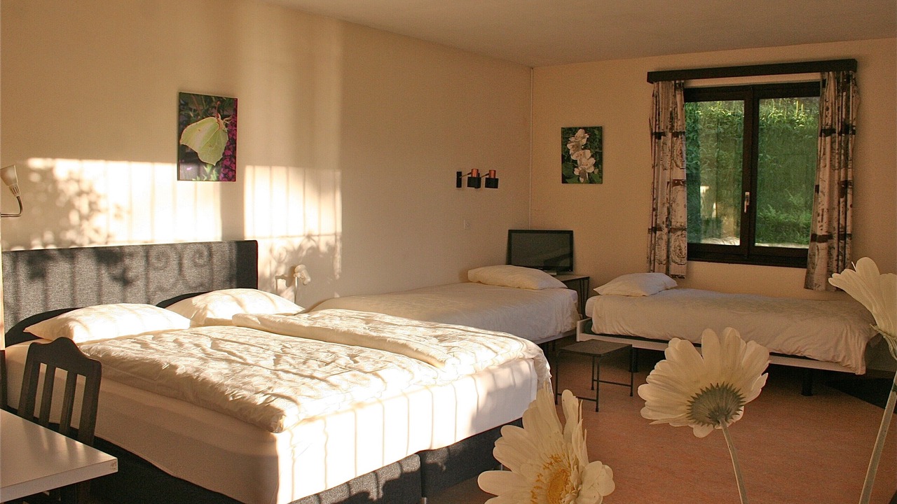 Photo of Bedroom in Vira