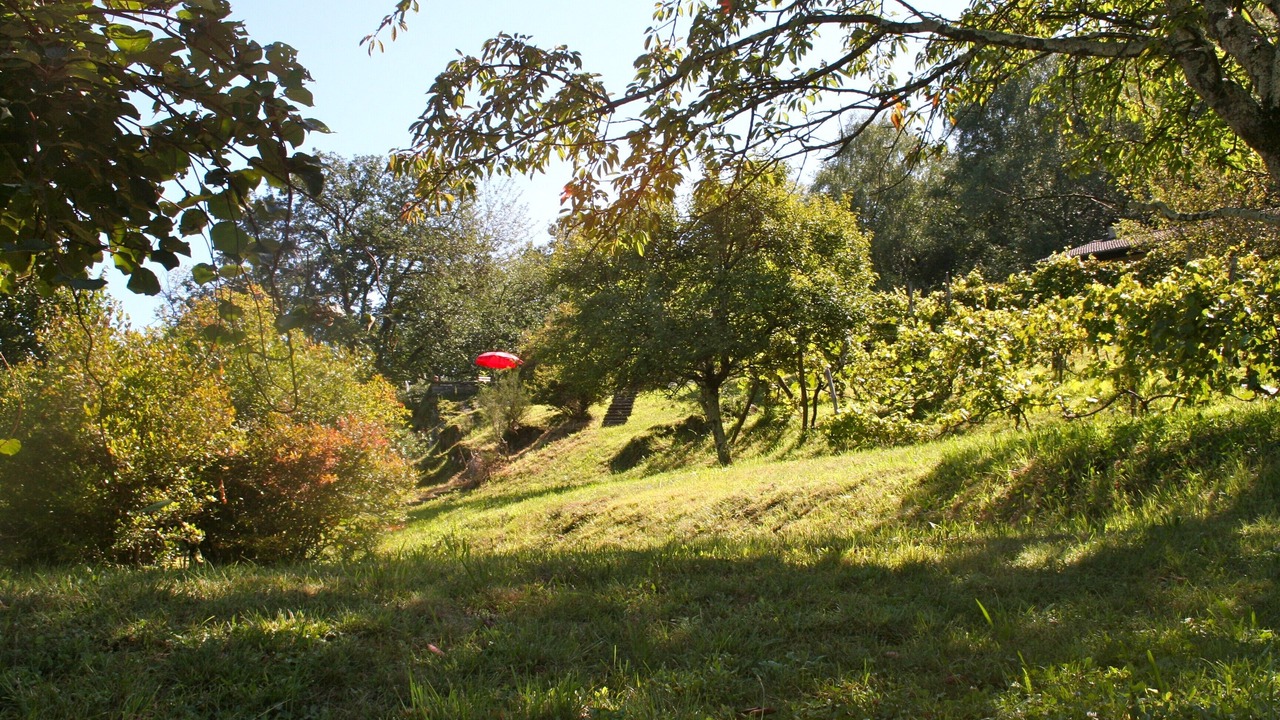 Photo of Others in Vira