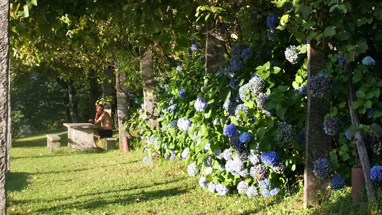 Photo of Outdoor in Vira