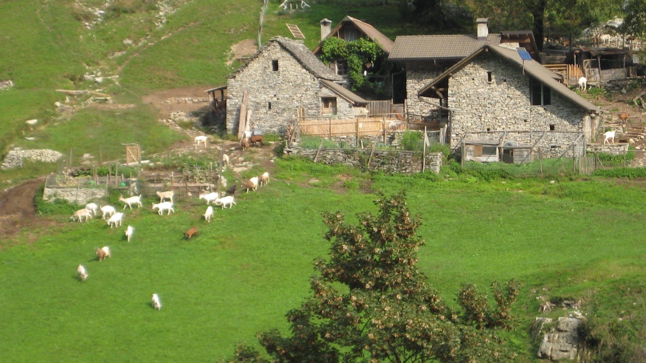 Photo of Outdoor in Cavigliano