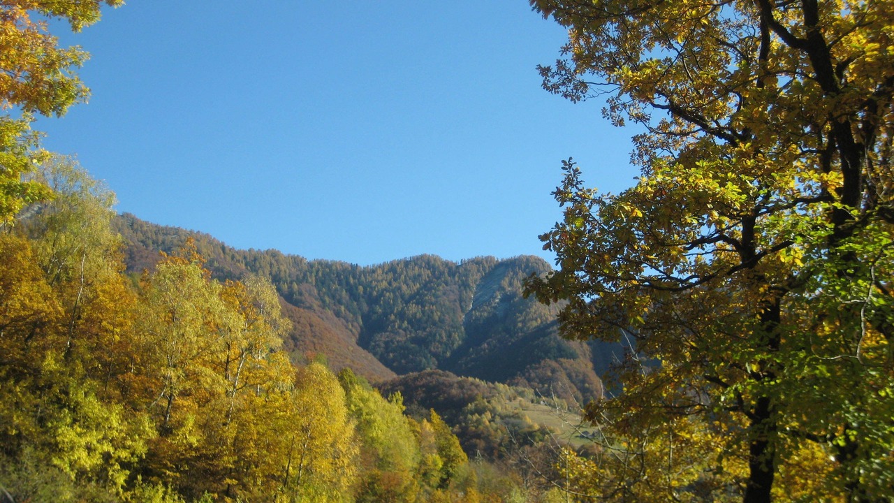 Photo of Others in Cavigliano