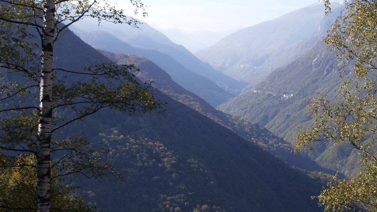 Photo of Others in Cavigliano