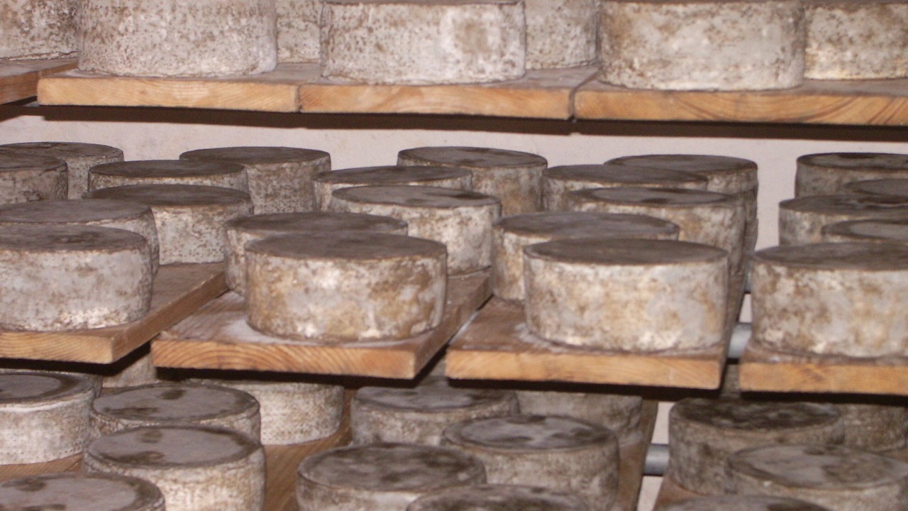 Photo of Others in Cavigliano