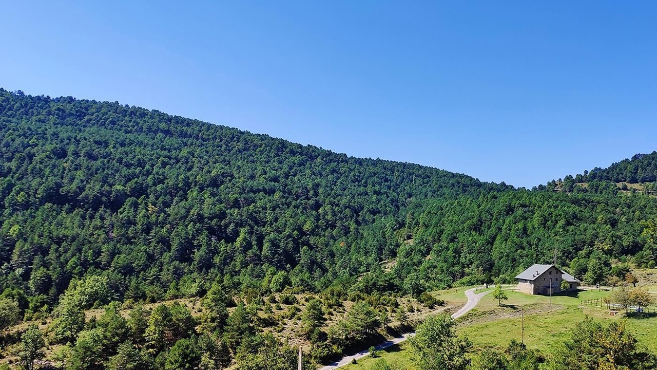 Photo of Others in Coll de Nargo