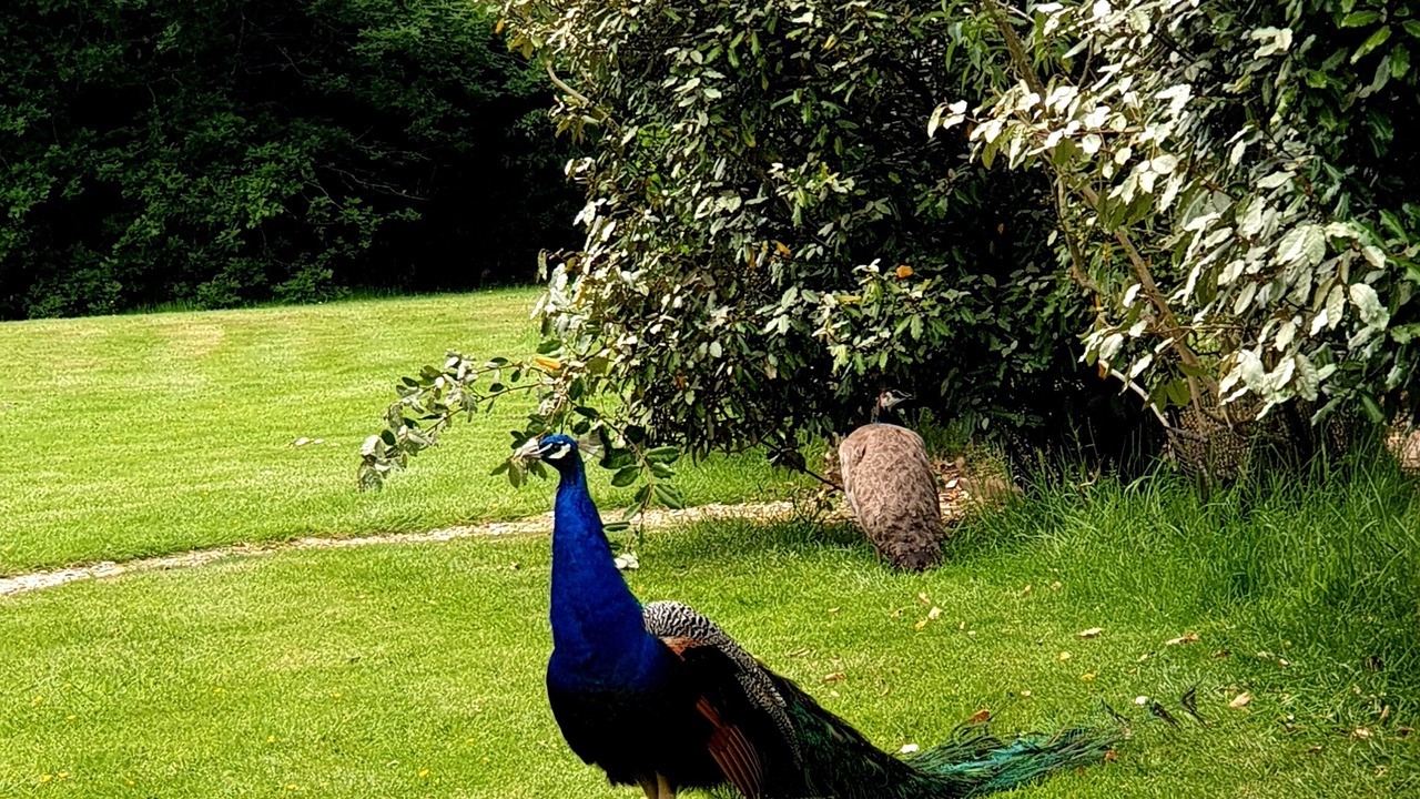 Photo of Outdoor in Abbess Roding