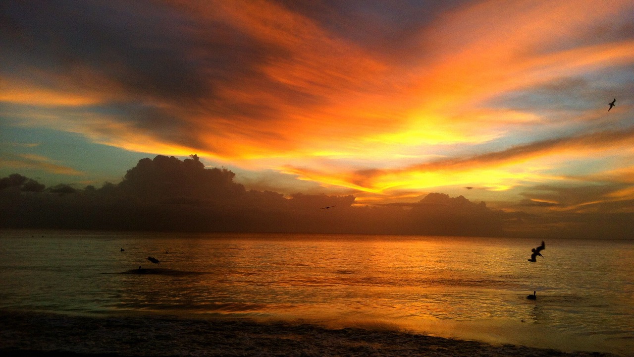 Photo of Others in Rincon