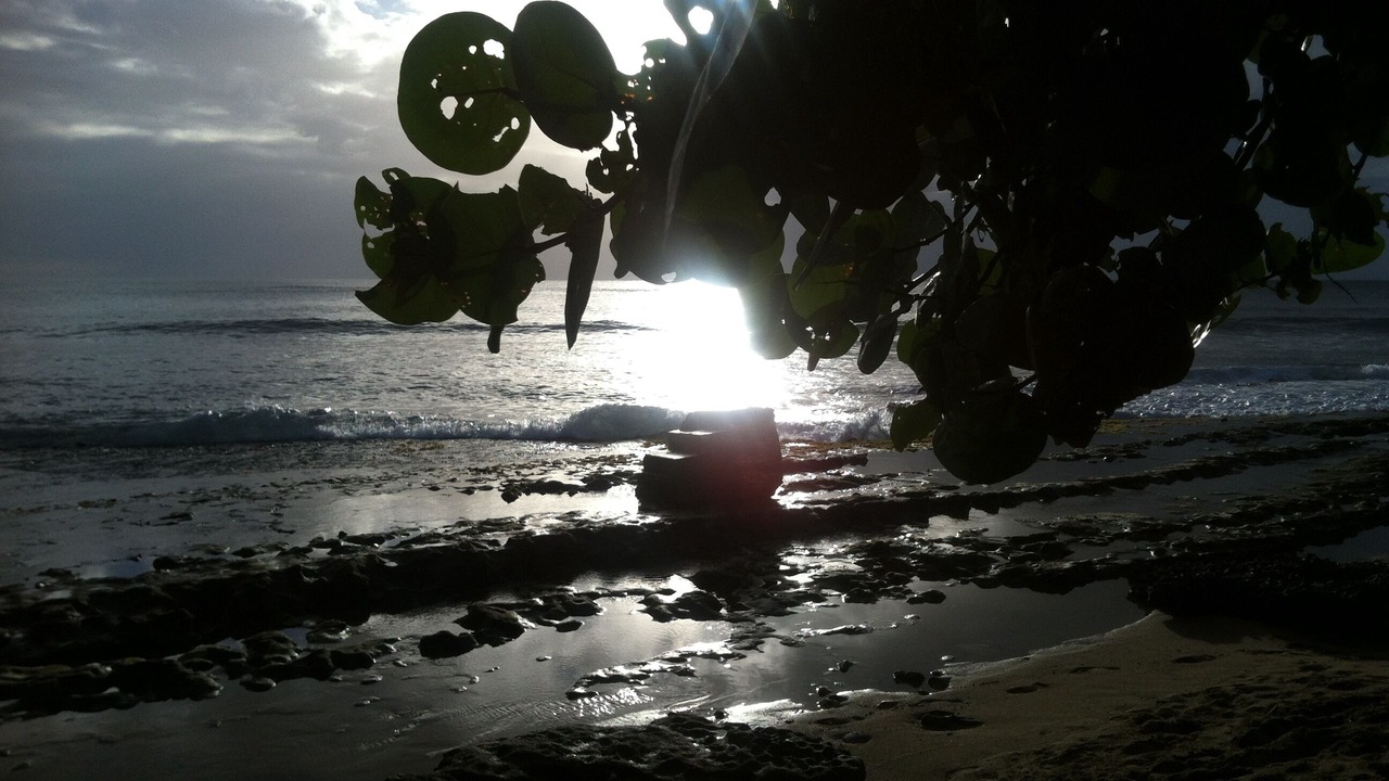 Photo of Others in Rincon