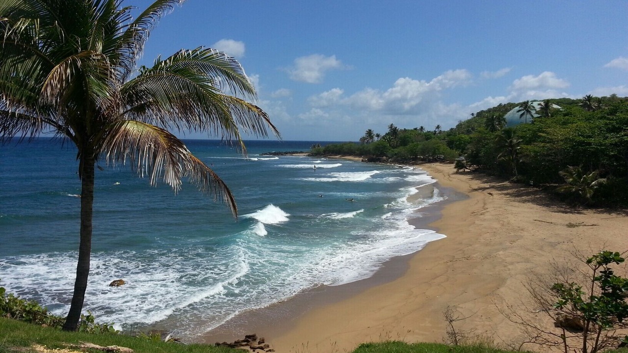 Photo of Others in Rincon