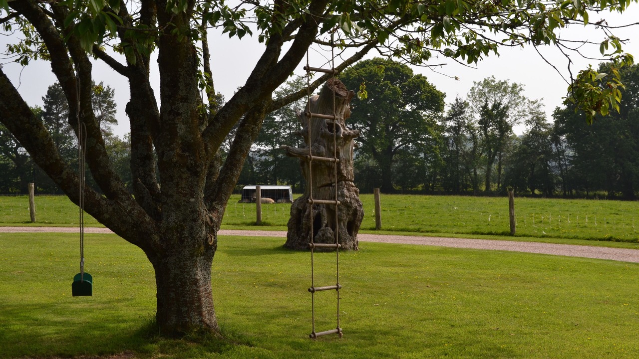 Photo of Outdoor in Bicton