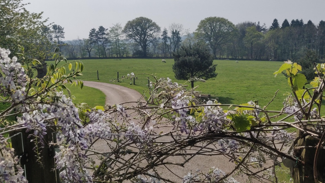 Photo of Outdoor in Bicton