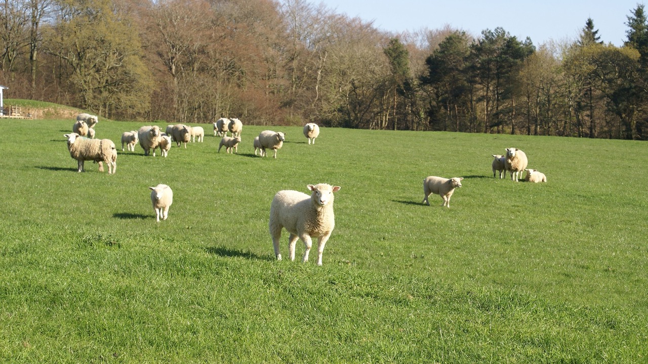 Photo of Others in Bicton