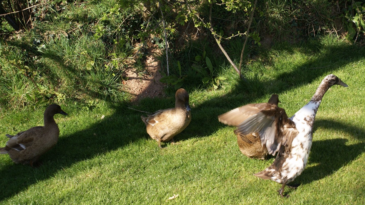 Photo of Others in Bicton
